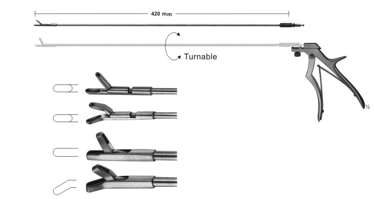 Biopsy Forceps & Swab Holders
